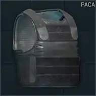 Ammo: PACA Soft Armor