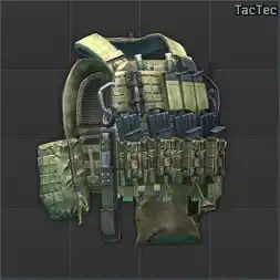 Ammo: 5.11 Tactical TacTec plate carrier (Ranger Green)
