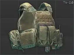 Ammo: WARTECH TV-110 plate carrier (Coyote)