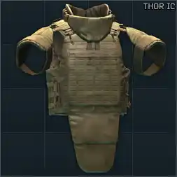 Ammo: NFM THOR Integrated Carrier body armor