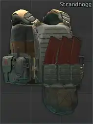 Ammo: FirstSpear Strandhogg plate carrier (Ranger Green)