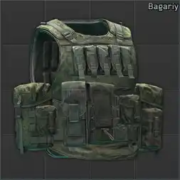 Ammo: NPP KlASS Bagariy plate carrier (EMR)