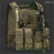 Ammo: Eagle Allied Industries MBSS plate carrier (Coyote Brown)
