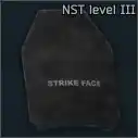 Ammo: NewSphereTech level III ballistic plate